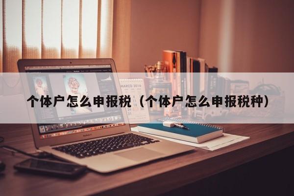 个体户怎么申报税（个体户怎么申报税种）