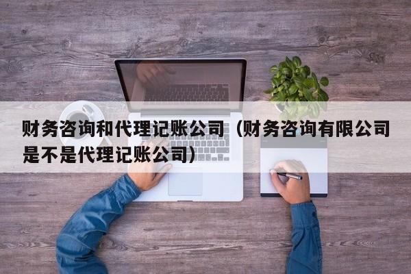 财务咨询和代理记账公司（财务咨询有限公司是不是代理记账公司）