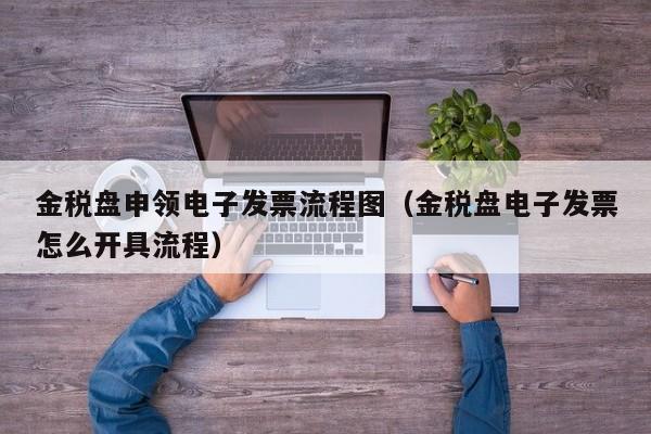 金税盘申领电子发票流程图（金税盘电子发票怎么开具流程）