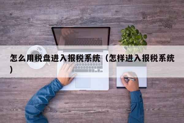 怎么用税盘进入报税系统（怎样进入报税系统）