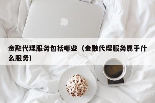 金融代理服务包括哪些（金融代理服务属于什么服务）