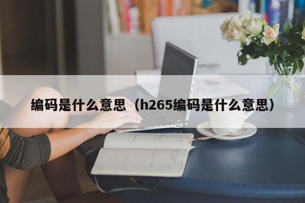 编码是什么意思（h265编码是什么意思）