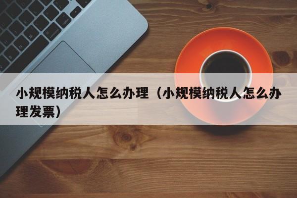 小规模纳税人怎么办理（小规模纳税人怎么办理发票）