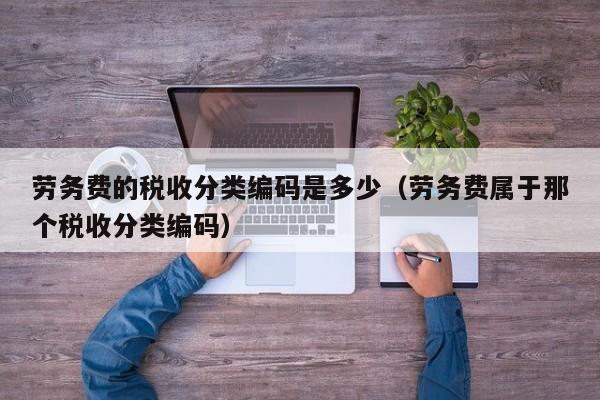 劳务费的税收分类编码是多少（劳务费属于那个税收分类编码）