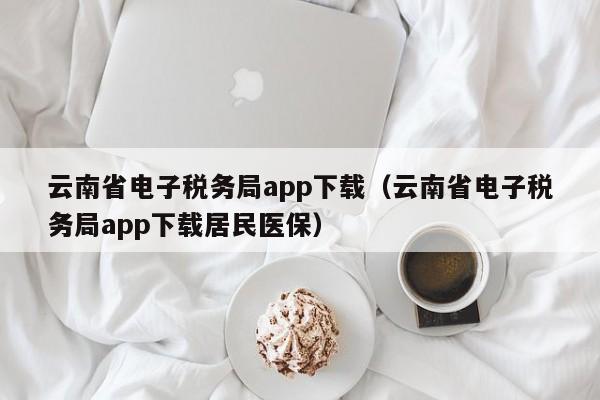 云南省电子税务局app下载（云南省电子税务局app下载居民医保）