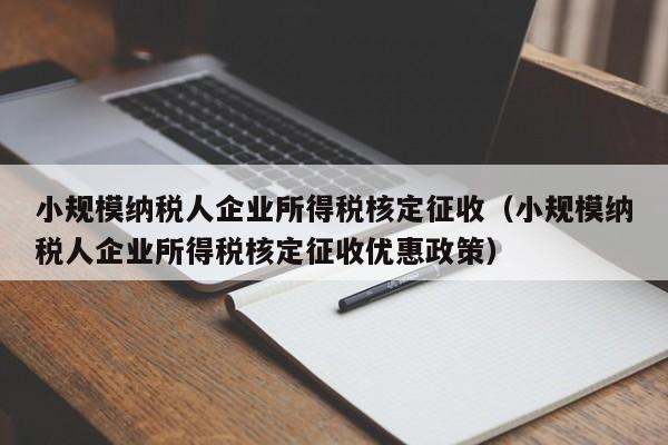 小规模纳税人企业所得税核定征收（小规模纳税人企业所得税核定征收优惠政策）