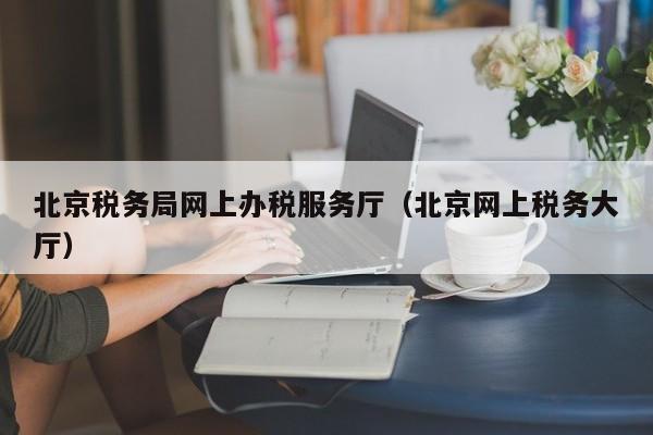 北京税务局网上办税服务厅（北京网上税务大厅）