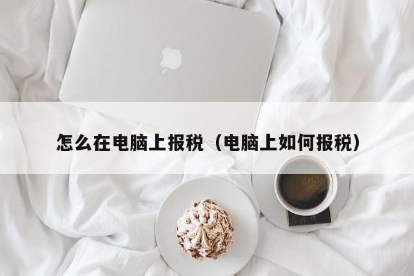 怎么在电脑上报税（电脑上如何报税）