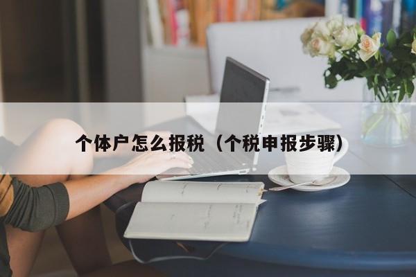 个体户怎么报税（个税申报步骤）