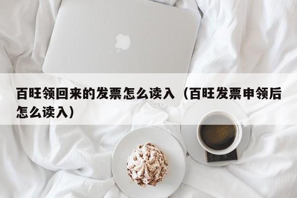 百旺领回来的发票怎么读入（百旺发票申领后怎么读入）