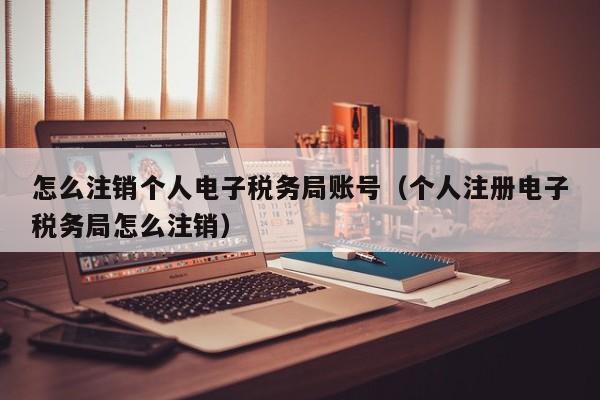 怎么注销个人电子税务局账号（个人注册电子税务局怎么注销）