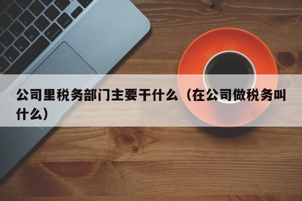 公司里税务部门主要干什么（在公司做税务叫什么）