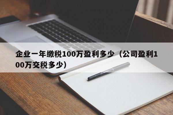 企业一年缴税100万盈利多少（公司盈利100万交税多少）