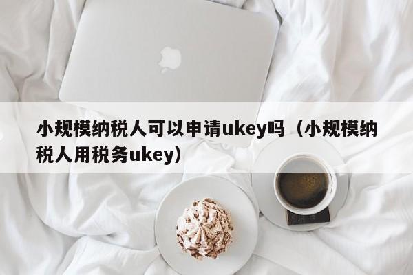 小规模纳税人可以申请ukey吗（小规模纳税人用税务ukey）