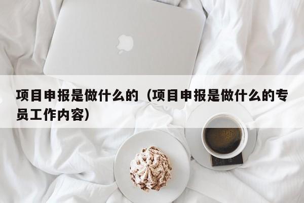 项目申报是做什么的（项目申报是做什么的专员工作内容）