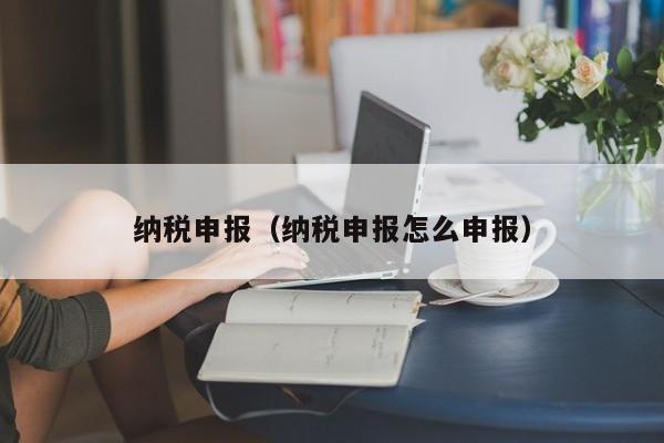 纳税申报（纳税申报怎么申报）