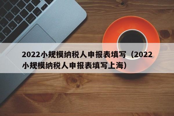 2022小规模纳税人申报表填写（2022小规模纳税人申报表填写上海）