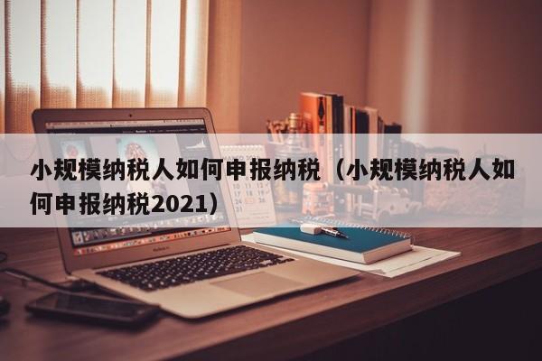 小规模纳税人如何申报纳税（小规模纳税人如何申报纳税2021）