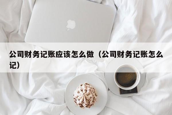 公司财务记账应该怎么做（公司财务记账怎么记）