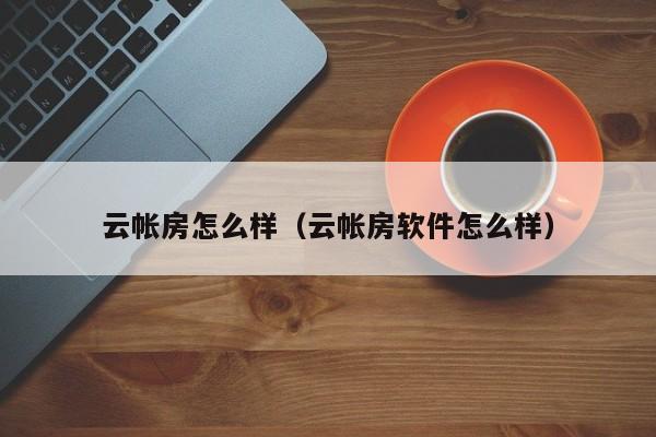 云帐房怎么样（云帐房软件怎么样）