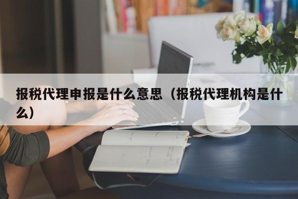 报税代理申报是什么意思（报税代理机构是什么）