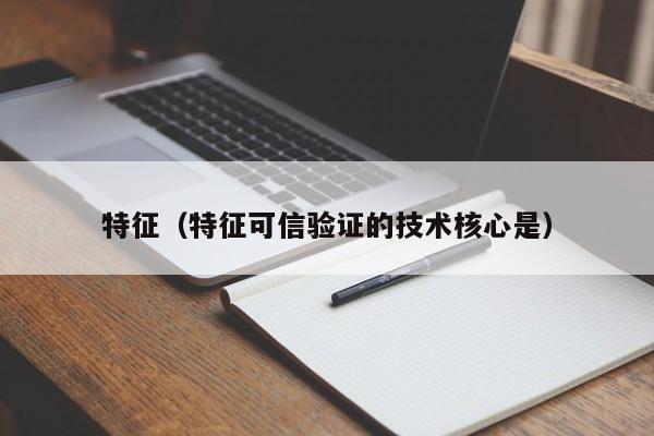 特征（特征可信验证的技术核心是）