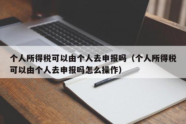 个人所得税可以由个人去申报吗（个人所得税可以由个人去申报吗怎么操作）