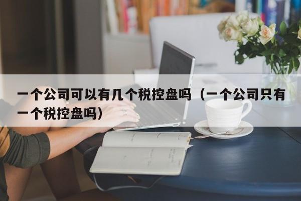 一个公司可以有几个税控盘吗（一个公司只有一个税控盘吗）