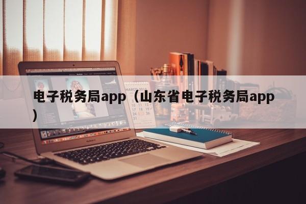 电子税务局app（山东省电子税务局app）