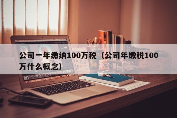 公司一年缴纳100万税（公司年缴税100万什么概念）