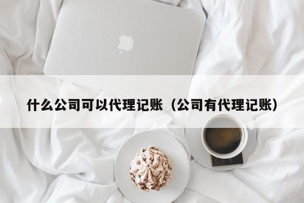 什么公司可以代理记账（公司有代理记账）