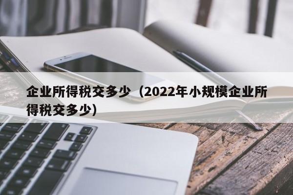 企业所得税交多少（2022年小规模企业所得税交多少）