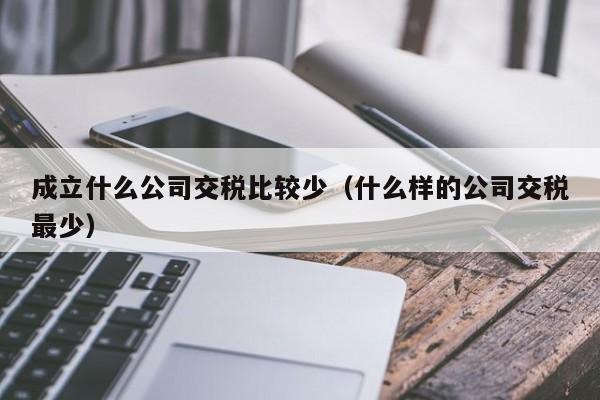 成立什么公司交税比较少（什么样的公司交税最少）