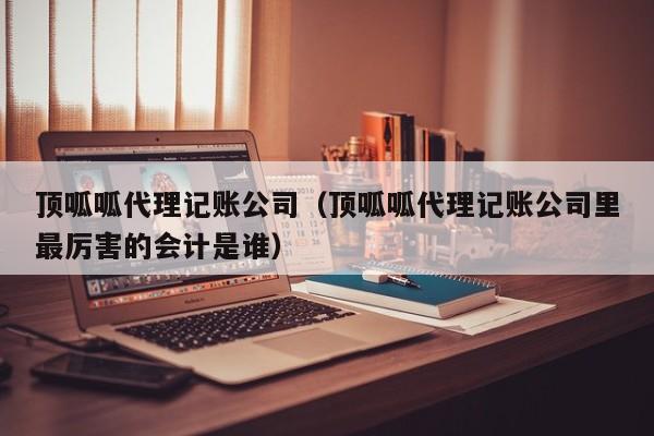 顶呱呱代理记账公司（顶呱呱代理记账公司里最厉害的会计是谁）