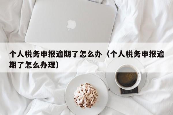 个人税务申报逾期了怎么办（个人税务申报逾期了怎么办理）