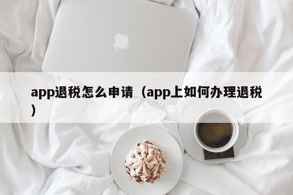 app退税怎么申请（app上如何办理退税）