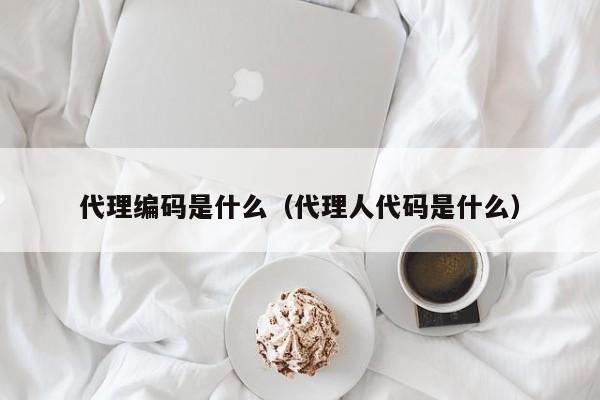 代理编码是什么（代理人代码是什么）