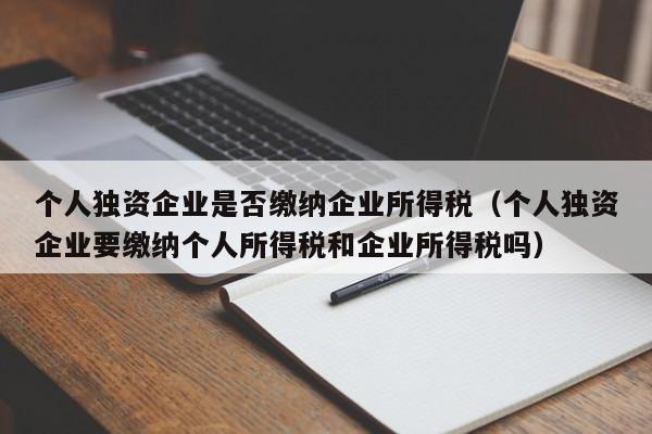 个人独资企业是否缴纳企业所得税（个人独资企业要缴纳个人所得税和企业所得税吗）