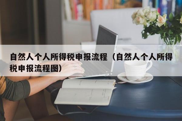 自然人个人所得税申报流程（自然人个人所得税申报流程图）