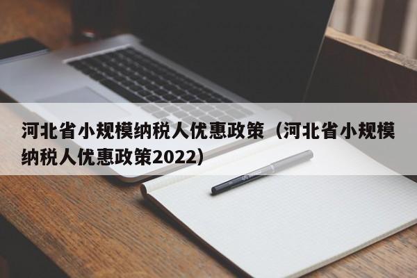 河北省小规模纳税人优惠政策（河北省小规模纳税人优惠政策2022）