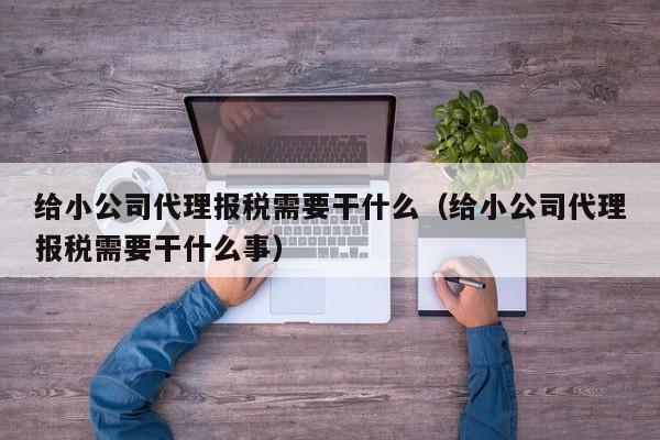 给小公司代理报税需要干什么（给小公司代理报税需要干什么事）