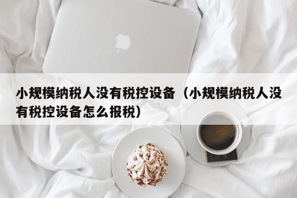 小规模纳税人没有税控设备（小规模纳税人没有税控设备怎么报税）