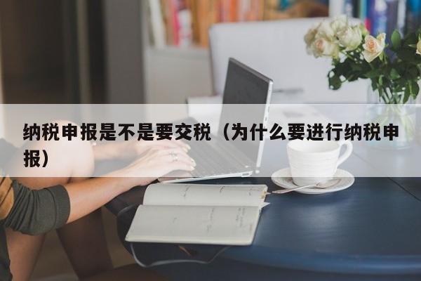 纳税申报是不是要交税（为什么要进行纳税申报）