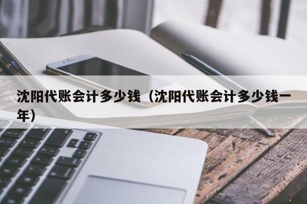 沈阳代账会计多少钱（沈阳代账会计多少钱一年）