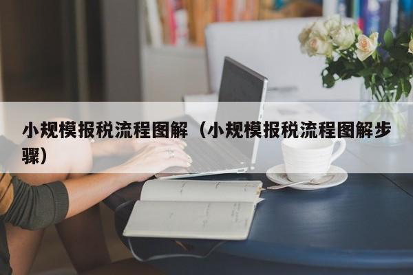 小规模报税流程图解（小规模报税流程图解步骤）