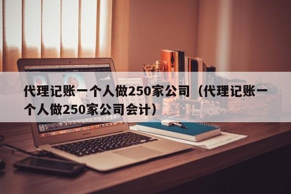 代理记账一个人做250家公司（代理记账一个人做250家公司会计）