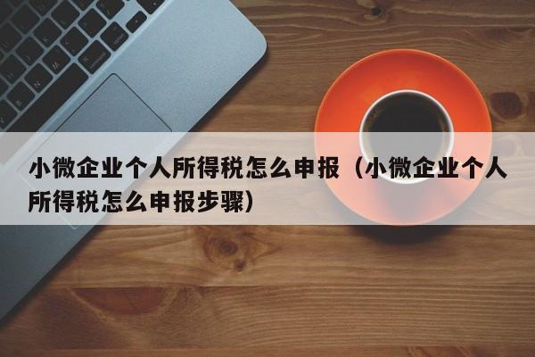 小微企业个人所得税怎么申报（小微企业个人所得税怎么申报步骤）