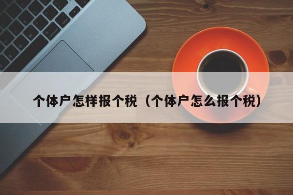 个体户怎样报个税（个体户怎么报个税）