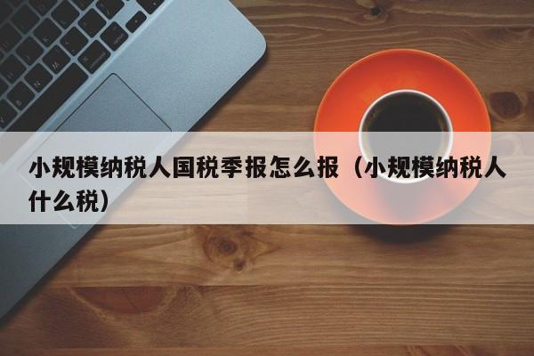 小规模纳税人国税季报怎么报（小规模纳税人什么税）