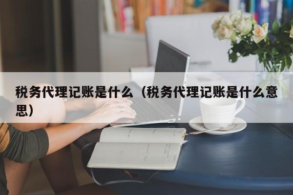 税务代理记账是什么（税务代理记账是什么意思）